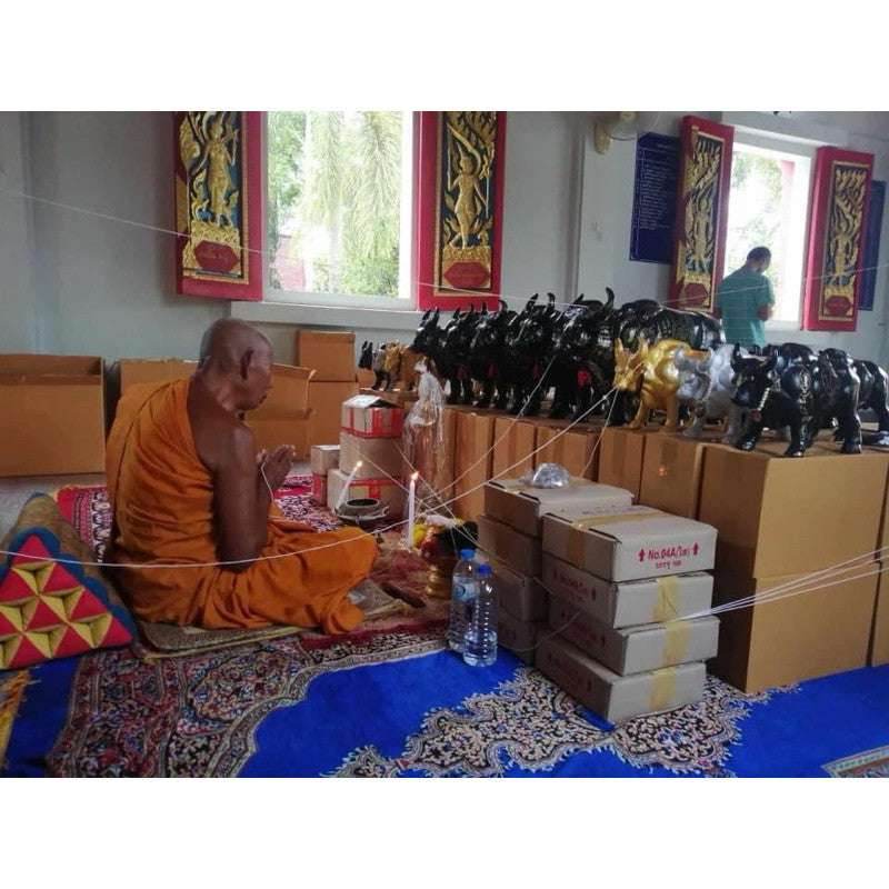 Powerful Vao Thaanoo Phayong Dhech Amulet by Ajahn Pleuang | Ultimate Protection, Wealth &amp; Success! - Thai Blessing Co