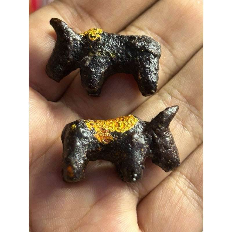 Magic Cow Amulet – Ultimate Protection, Charm &amp; Fortune Booster from Thailand! - Thai Blessing Co