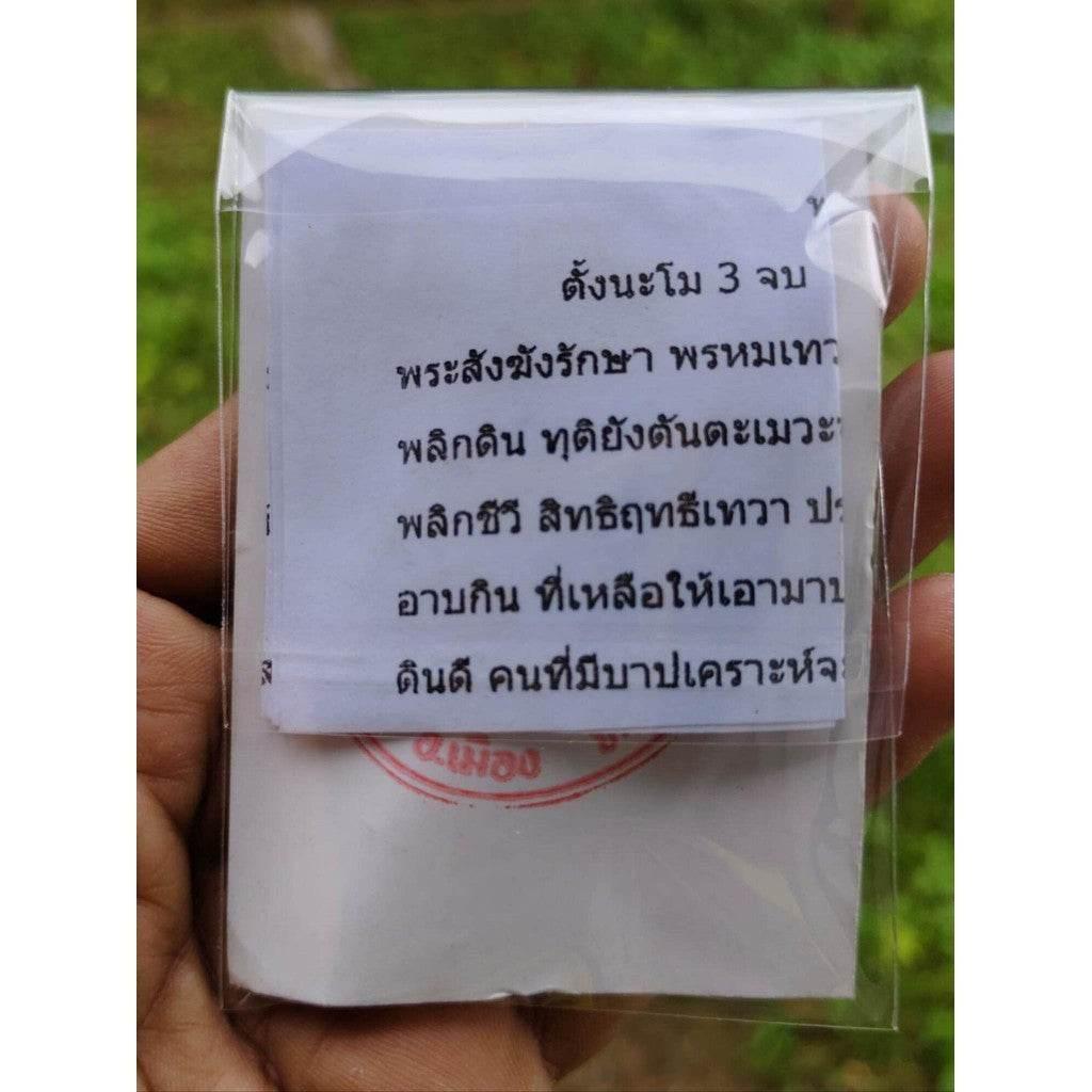 Narai Flip the World Amulet - Sacred Lead Talisman for Protection and Balance Transformation