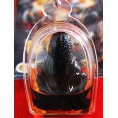 Mae Haek Takian Spirit Amulet – Wealth Attraction & Ultimate Charm by Master Ruesi Somdej (Kruba Det) 2022 Edition – Powerful Prosperity Seal 破财封印符 “招财女神” 2565 年版