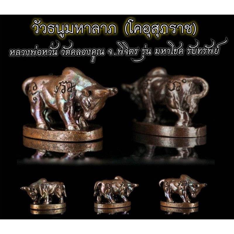 Fortune Ox Amulet (Ko Usuparat) – By Luang Phor Whan, Wat Khlong Khun | Power of Charm, Wealth &amp; Protection! - Thai Blessing Co