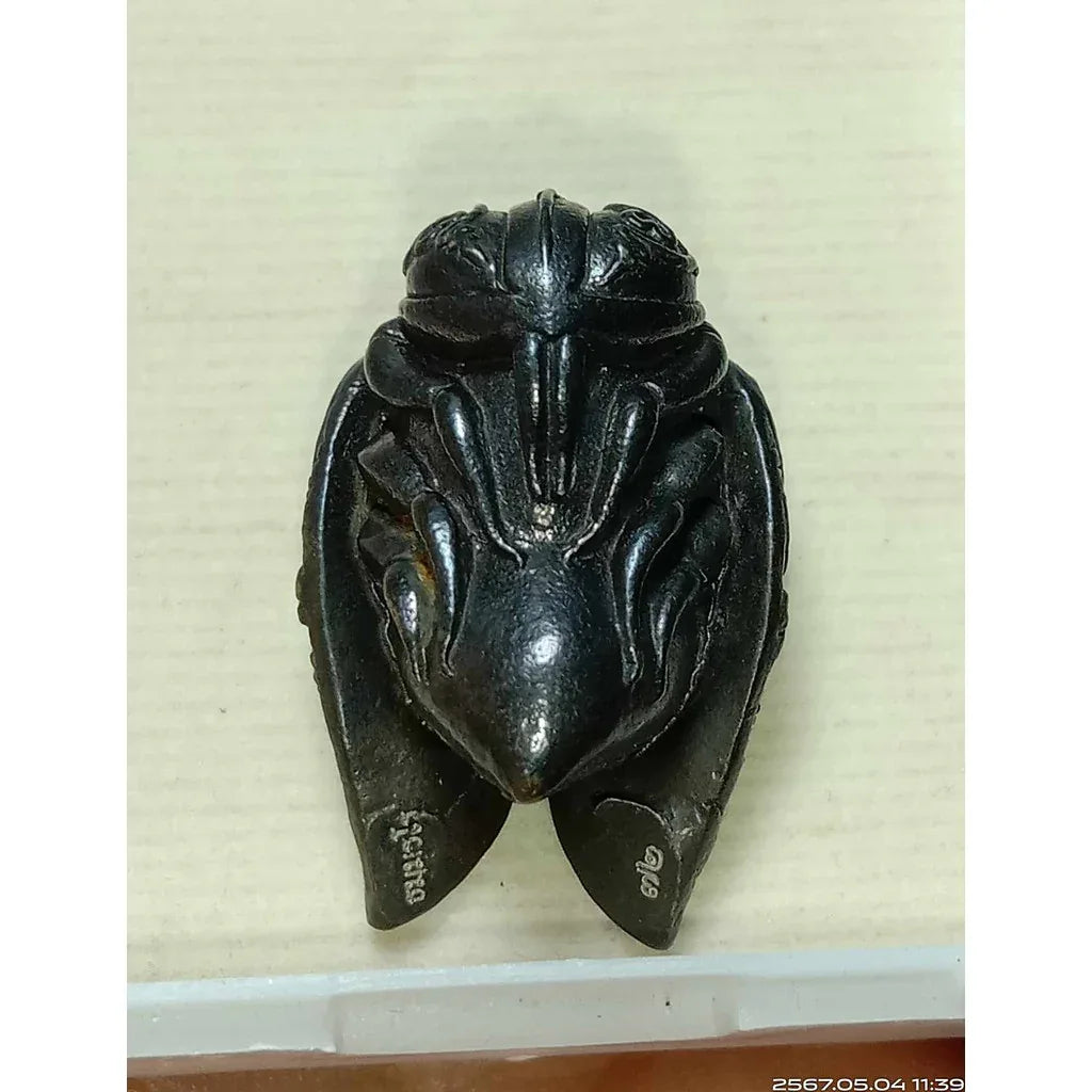 Wealth and Love Bee Amulet - Panya Phamroo Setthi Chana Sip Tit by Luang Pu Noi | Magnetic Nam Pi Iron for Rapid Fortune and Protection