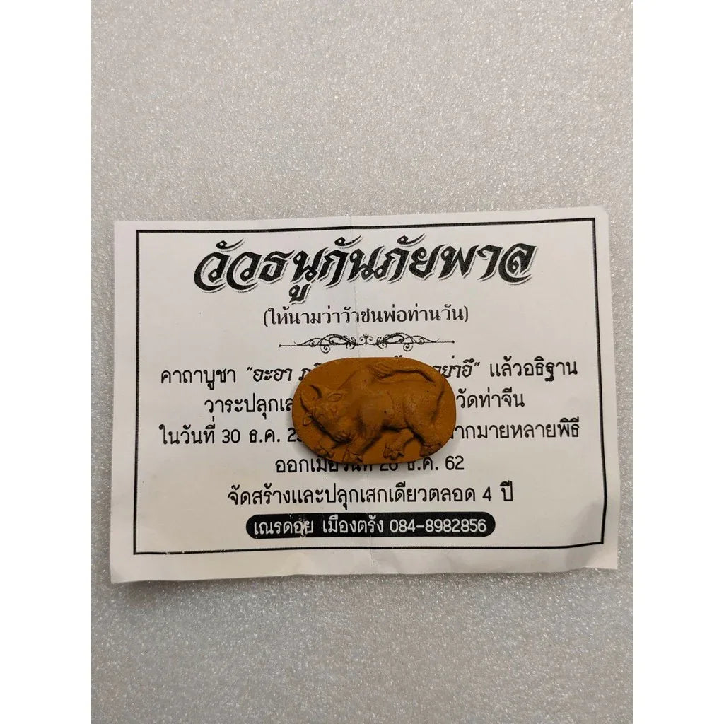 Wua Thanu Amulet - Kan Phai Pan Ajarn Nern Doi Trang 2019 Ultimate Protection and Fortune Amulet 2