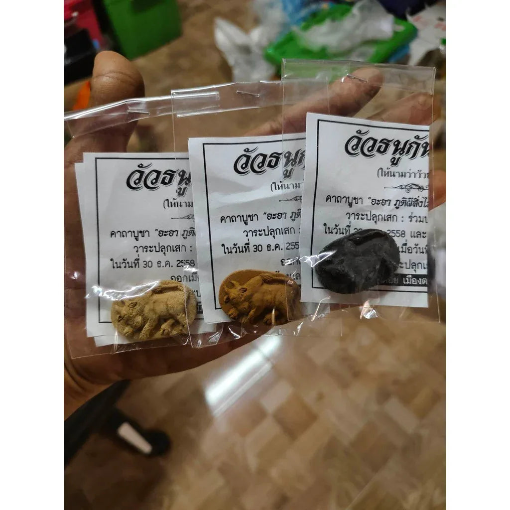 Wua Thanu Amulet - Kan Phai Pan Ajarn Nern Doi Trang 2019 Ultimate Protection and Fortune Amulet