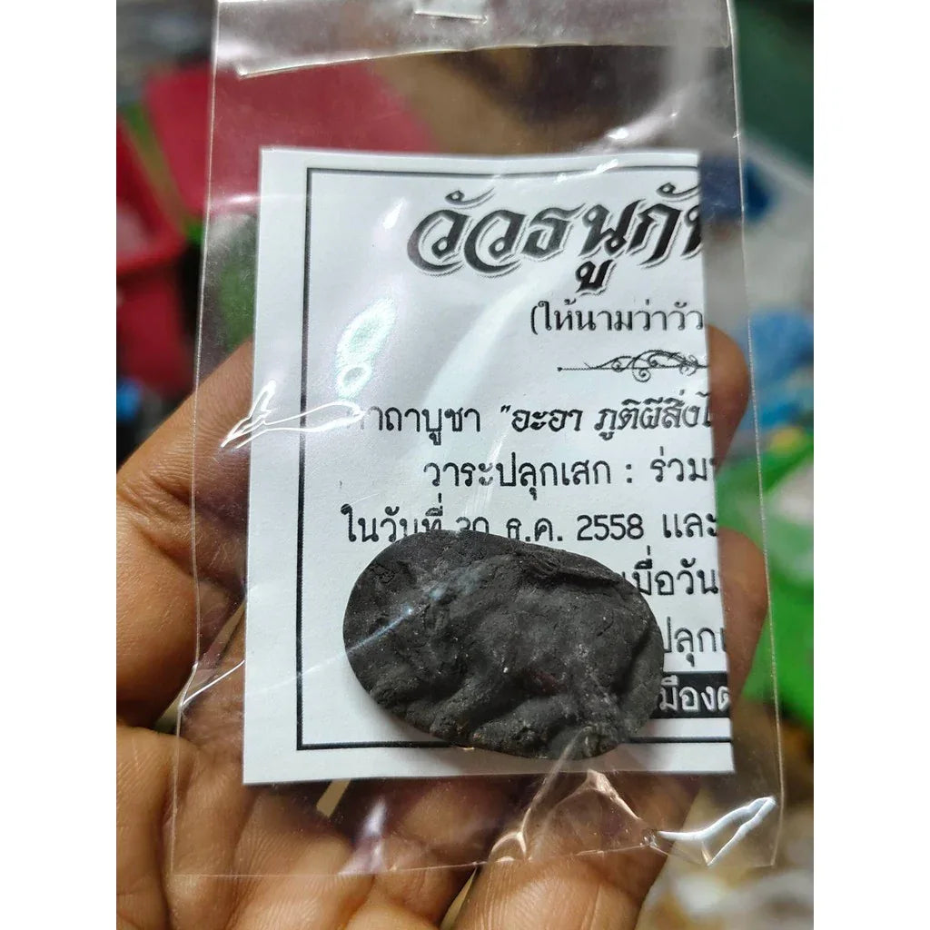 Wua Thanu Amulet - Kan Phai Pan Ajarn Nern Doi Trang 2019 Ultimate Protection and Fortune Amulet