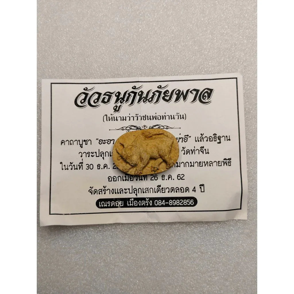 Wua Thanu Amulet - Kan Phai Pan Ajarn Nern Doi Trang 2019 Ultimate Protection and Fortune Amulet 1