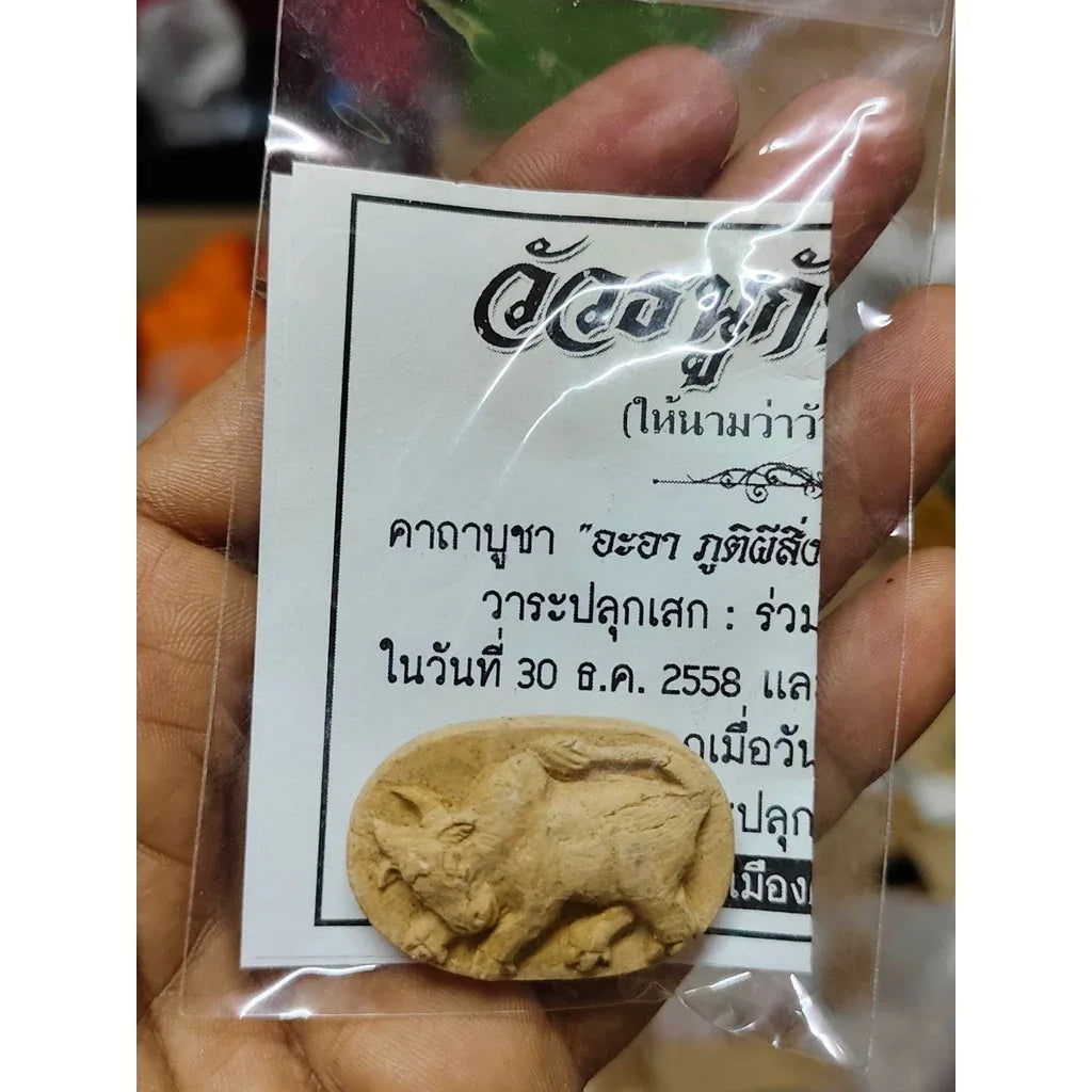 Wua Thanu Amulet - Kan Phai Pan Ajarn Nern Doi Trang 2019 Ultimate Protection and Fortune Amulet