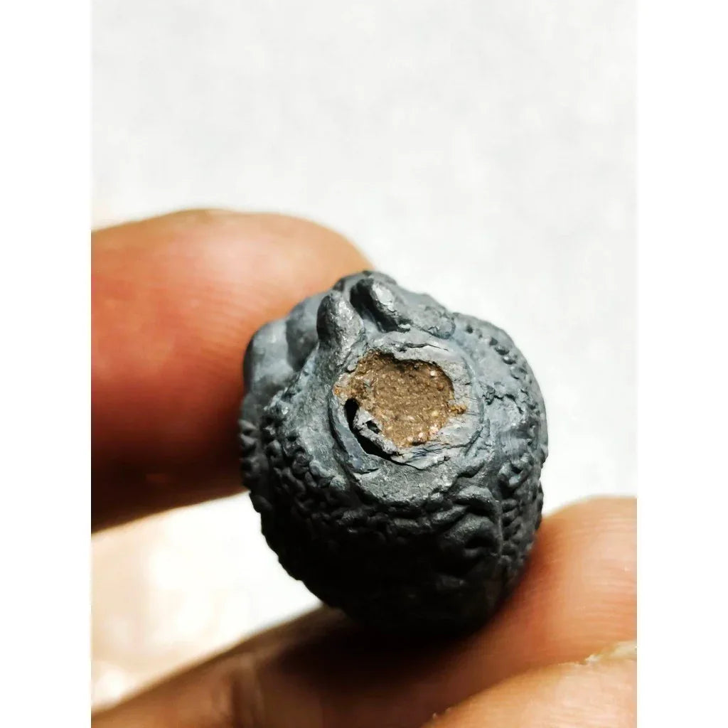 Pig God Amulet Lead Alloy Luang Phor Somkit Wat Bueng Tatha 2014 Wealth Business Booster