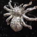 Silver Metal Wealth Attraction Amulet - Thai Charm for Prosperity and Success Default Title