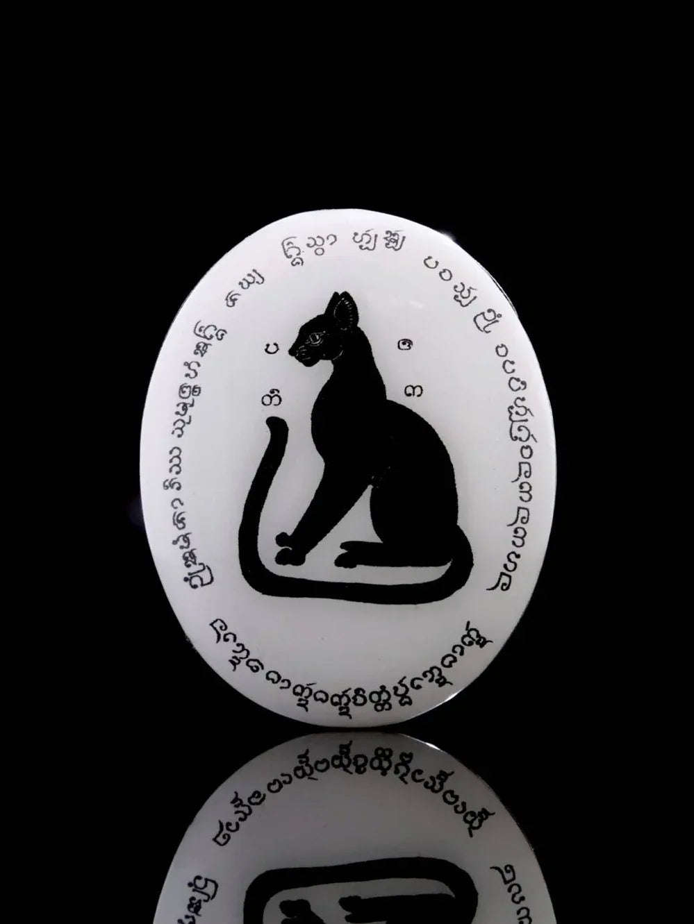 🐾 Stealthy Guardian of Fortune – Black Cat Locket by Chao Pan Ti for Ten-Direction Protection and Abundant Luck