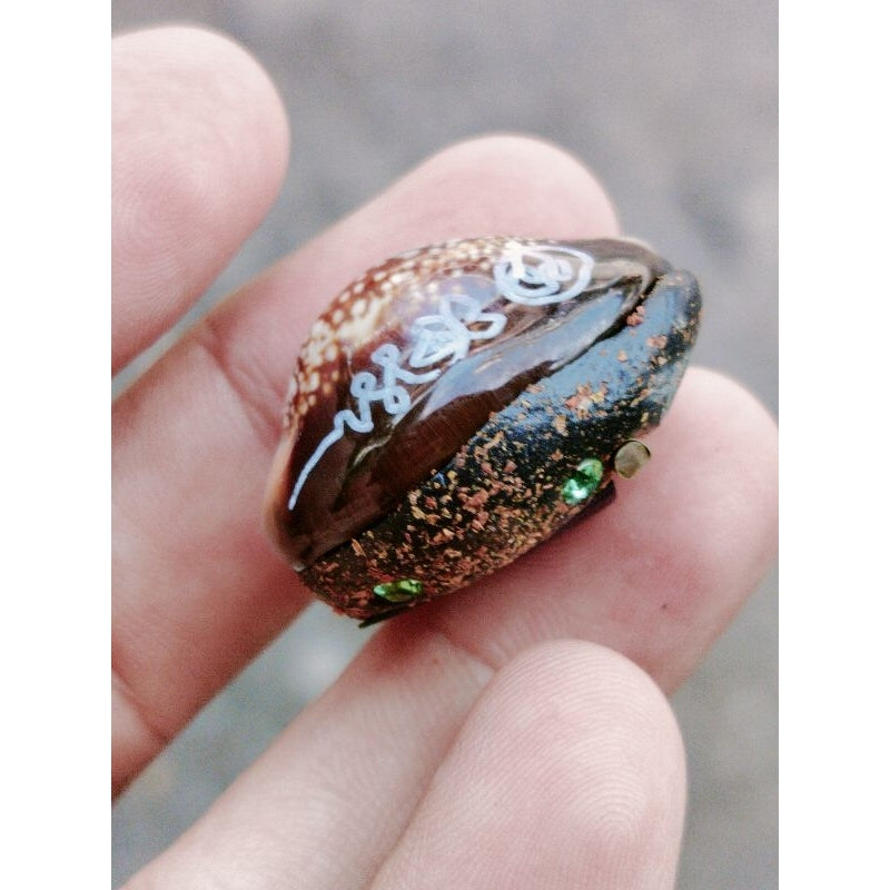 🐚 “Millionaire Wish-Granting Cowrie Shell” – All‑Purpose Wealth & Protection Amulet by Luang Pu Khamphuang (Wang Sai Samakkhi Tham Temple, Sa Kaeo, Thailand)