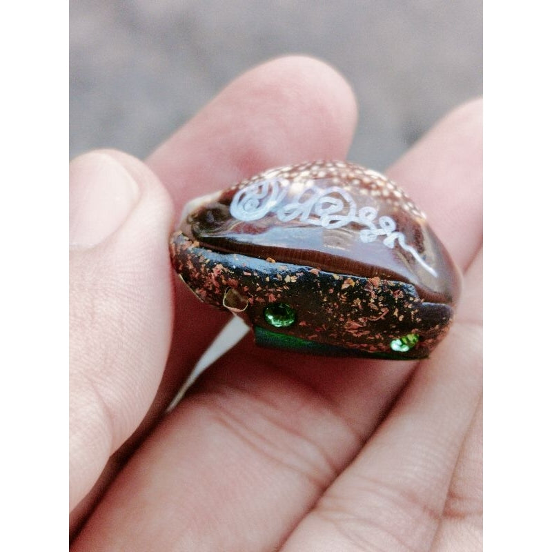 🐚 “Millionaire Wish-Granting Cowrie Shell” – All‑Purpose Wealth & Protection Amulet by Luang Pu Khamphuang (Wang Sai Samakkhi Tham Temple, Sa Kaeo, Thailand)