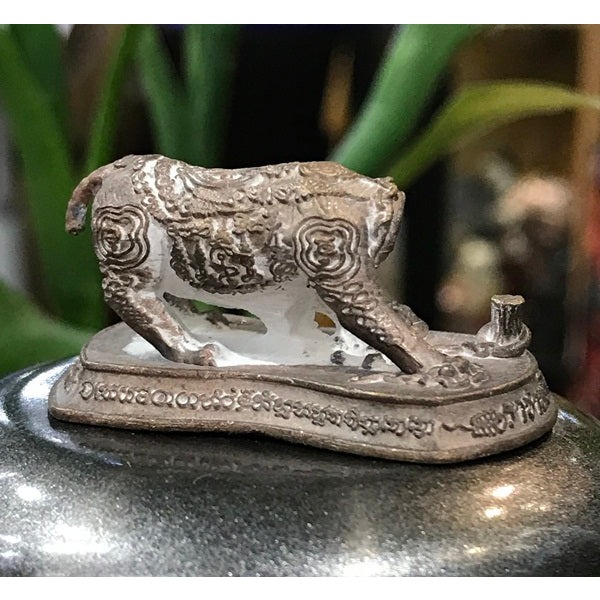 🐯 "Sua Hua Khat" Raja Phayak (Headless Tiger): The Sovereign Bronze Protector of Pathum Thani by Phra Arjan Tik