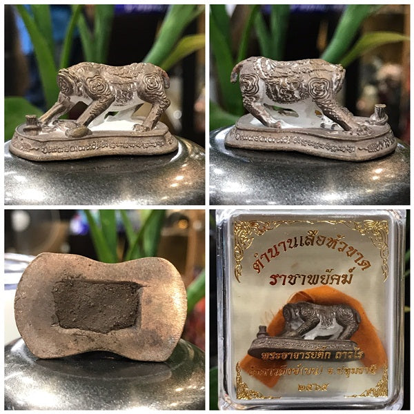 🐯 "Sua Hua Khat" Raja Phayak (Headless Tiger): The Sovereign Bronze Protector of Pathum Thani by Phra Arjan Tik