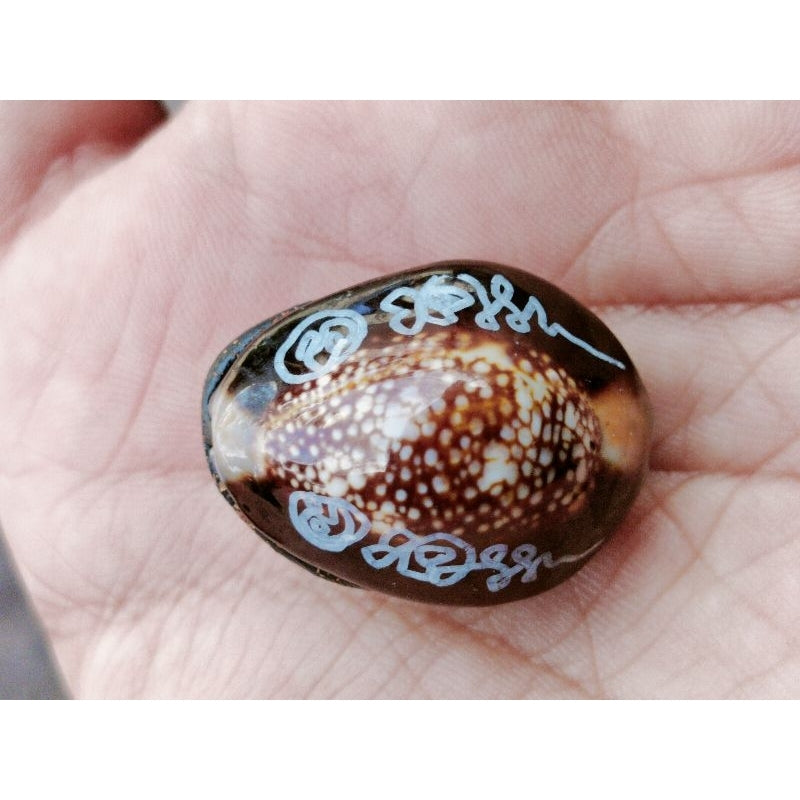 🐚 “Millionaire Wish-Granting Cowrie Shell” – All‑Purpose Wealth & Protection Amulet by Luang Pu Khamphuang (Wang Sai Samakkhi Tham Temple, Sa Kaeo, Thailand)
