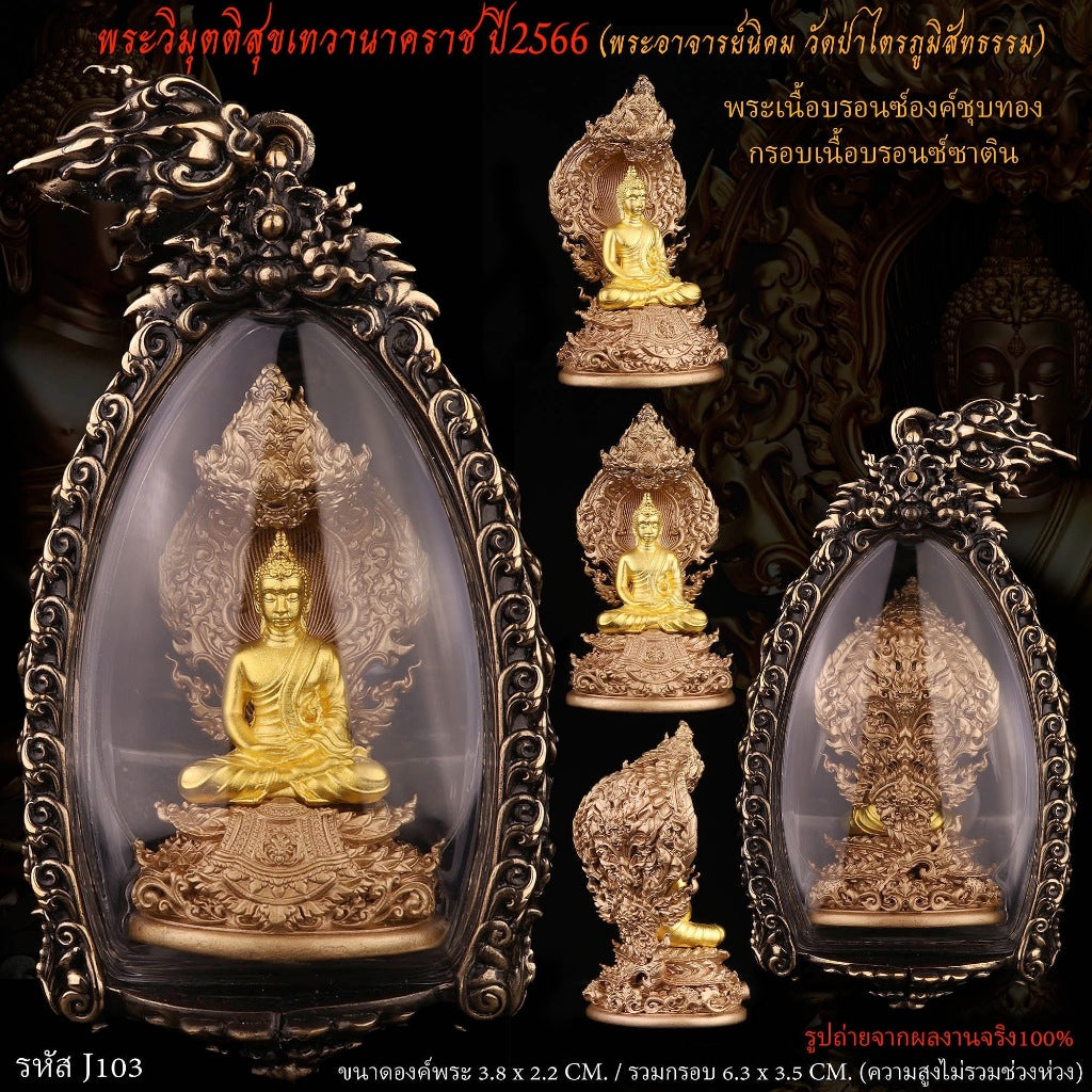 Nagaprok Vimutti Sukh Deity Coin Buddhist Protection Amulet Thailand