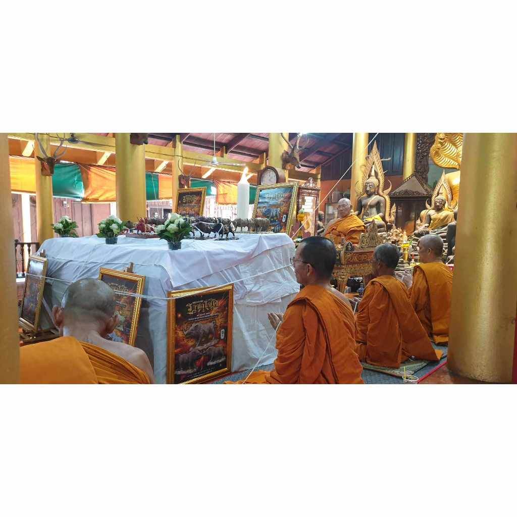 Phaya Waraha – Racha Choke Edition by Luang Pho Sanan (Limited Edition) The Boar of Prosperity &amp; Invincibility - Thai Blessing Co