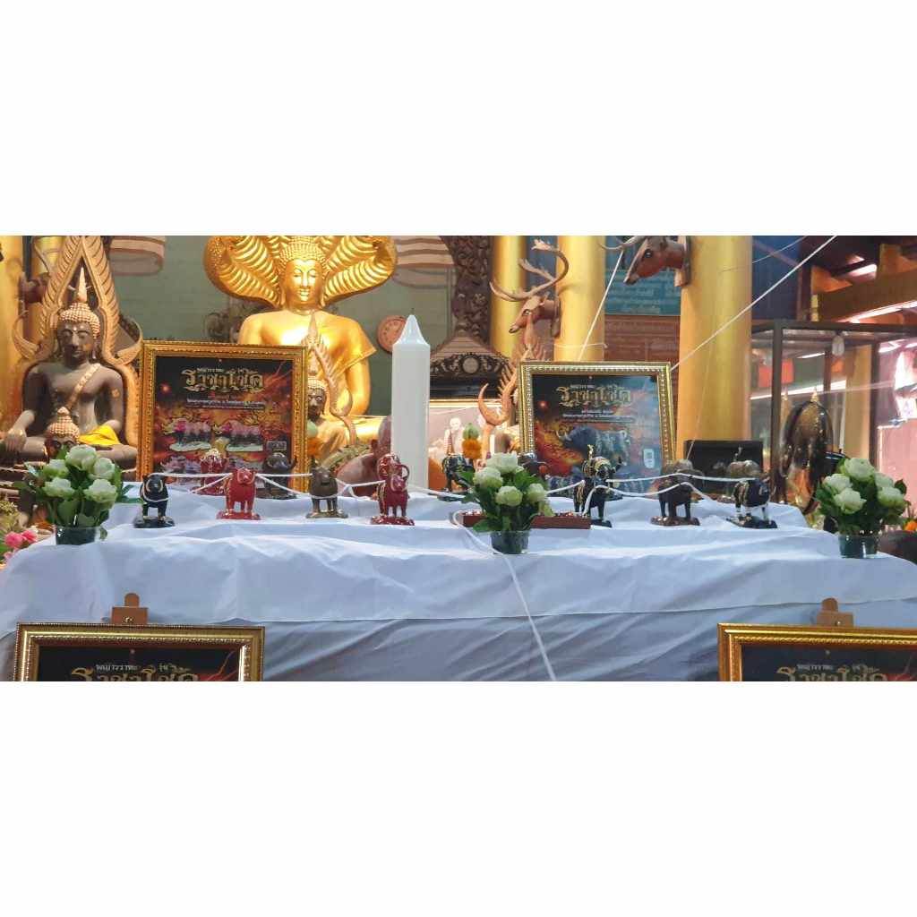 Phaya Waraha Racha Choke (Boar of Royal Fortune) – Portable Size – Blessed on Saturday 5th, Year of the Dragon - Thai Blessing Co