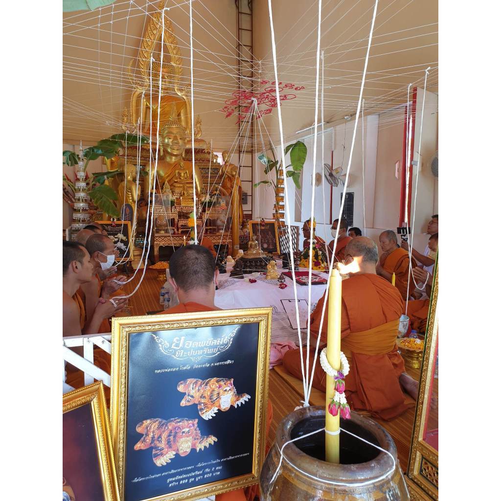 The Supreme Tiger of Wealth – “Yod Payak Tapob Sap” by Luang Pho Yot, Wat Takroh (BE 2565) - Thai Blessing Co