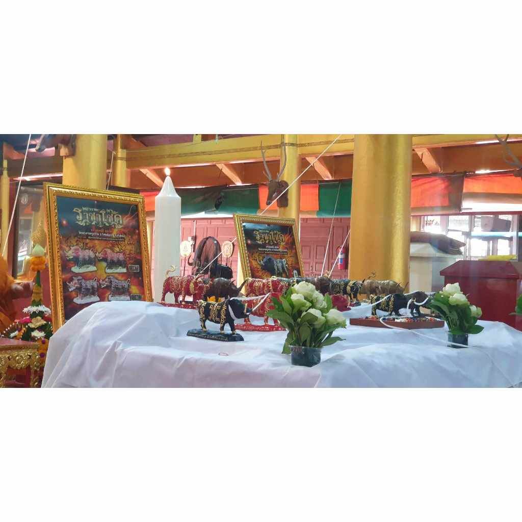 Phaya Waraha – Racha Choke Edition by Luang Pho Sanan (Limited Edition) The Boar of Prosperity &amp; Invincibility - Thai Blessing Co