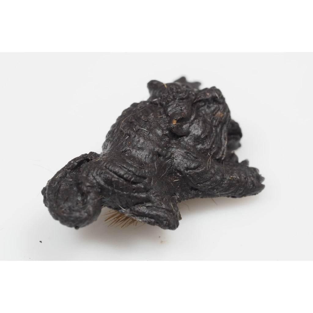 Supreme Tiger of Wealth Amulet - Yod Payak Tapob Sap by Luang Pho Yot, Wat Takroh (BE 2565)