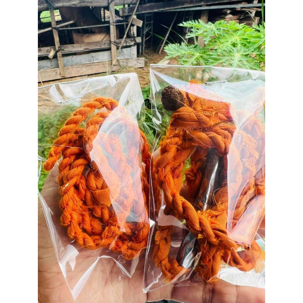 Luang Pu Im's Sacred Set: Robe Thread, Betel Nut &amp; Lead Takrut Blessed Amulet Trio for Charm, Protection &amp; Success – Wat Thung Na Mai x Luang Phor Kliai Blend - Thai Blessing Co