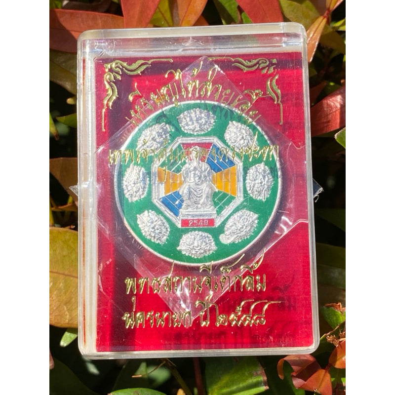 Tai Sui God Protection Coin - Silver Enamel Edition 2005 for Divine Fate Guardian