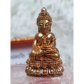Phra Kring Plodpai First Edition - Authentic Thai Phra Kring Plodpai for Supreme Protection and Sacred Blessings