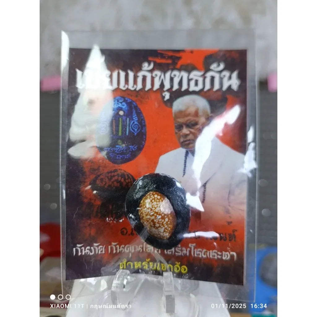 🐚 THE SHIELD OF FATE: BIA GAE PHUT-KAN ✨ The Destiny Transformer: Arjan Plien "Bia Gae Phut-Kan" & "Takrut Phan Nor Mo" – The Sacred Cowrie of Protection & Luck Enhancement
