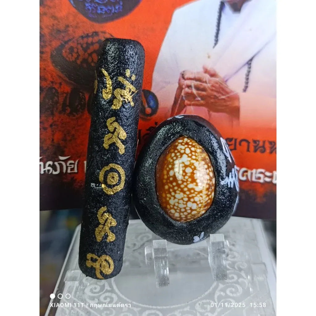 🐚 THE SHIELD OF FATE: BIA GAE PHUT-KAN ✨ The Destiny Transformer: Arjan Plien "Bia Gae Phut-Kan" & "Takrut Phan Nor Mo" – The Sacred Cowrie of Protection & Luck Enhancement