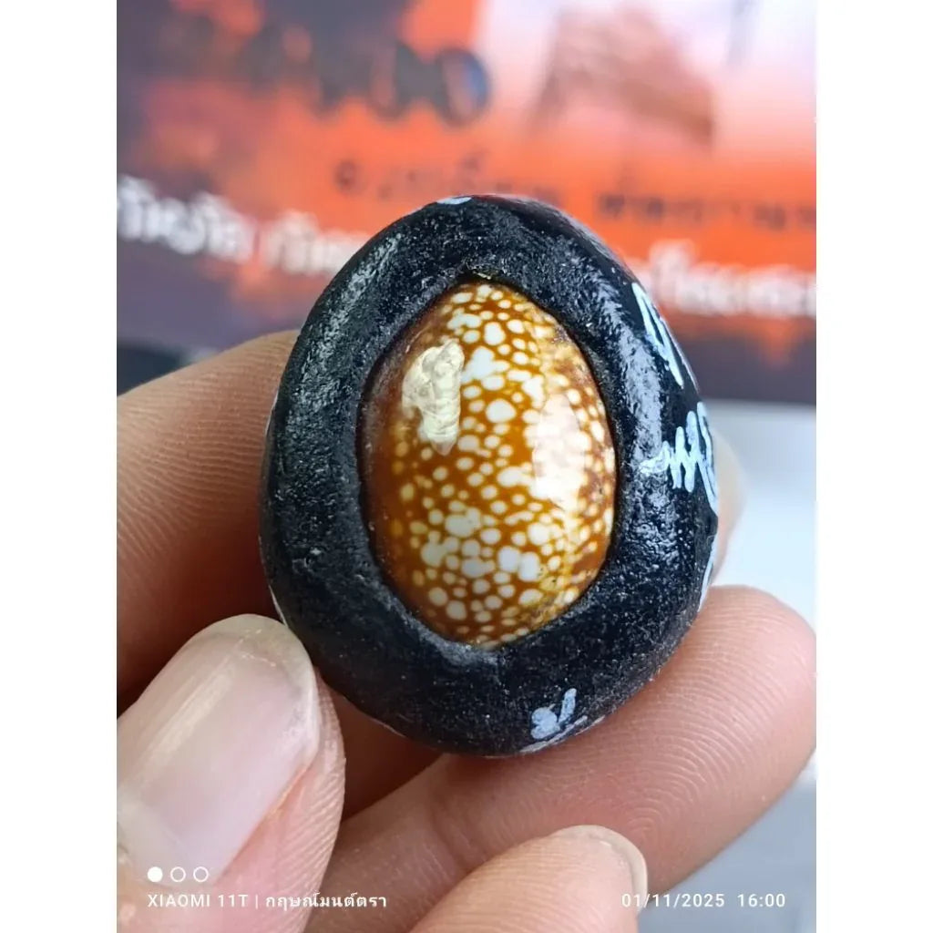 🐚 THE SHIELD OF FATE: BIA GAE PHUT-KAN ✨ The Destiny Transformer: Arjan Plien "Bia Gae Phut-Kan" & "Takrut Phan Nor Mo" – The Sacred Cowrie of Protection & Luck Enhancement