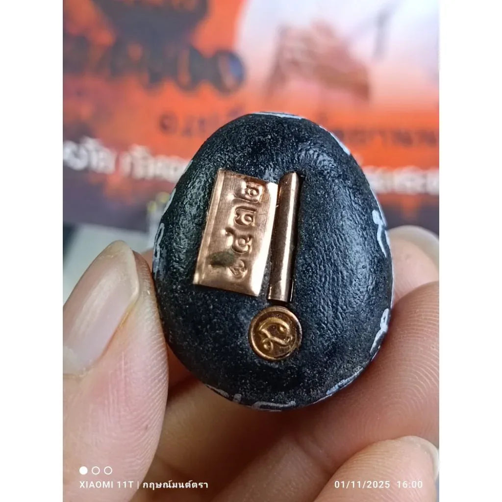 🐚 THE SHIELD OF FATE: BIA GAE PHUT-KAN ✨ The Destiny Transformer: Arjan Plien "Bia Gae Phut-Kan" & "Takrut Phan Nor Mo" – The Sacred Cowrie of Protection & Luck Enhancement