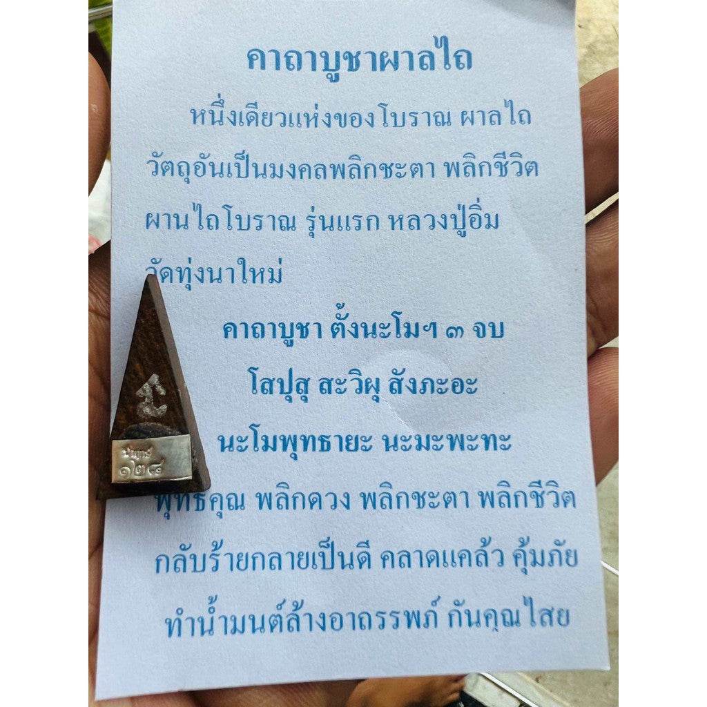 Triangular bronze amulet on Thai prayer card held in hand by Thai Blessing Co Ancient Plal Tai amulet for spiritual protection.