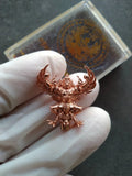 Authentic Phaya Garuda Amulet for Luck, Protection, and Spiritual Prosperity Default Title