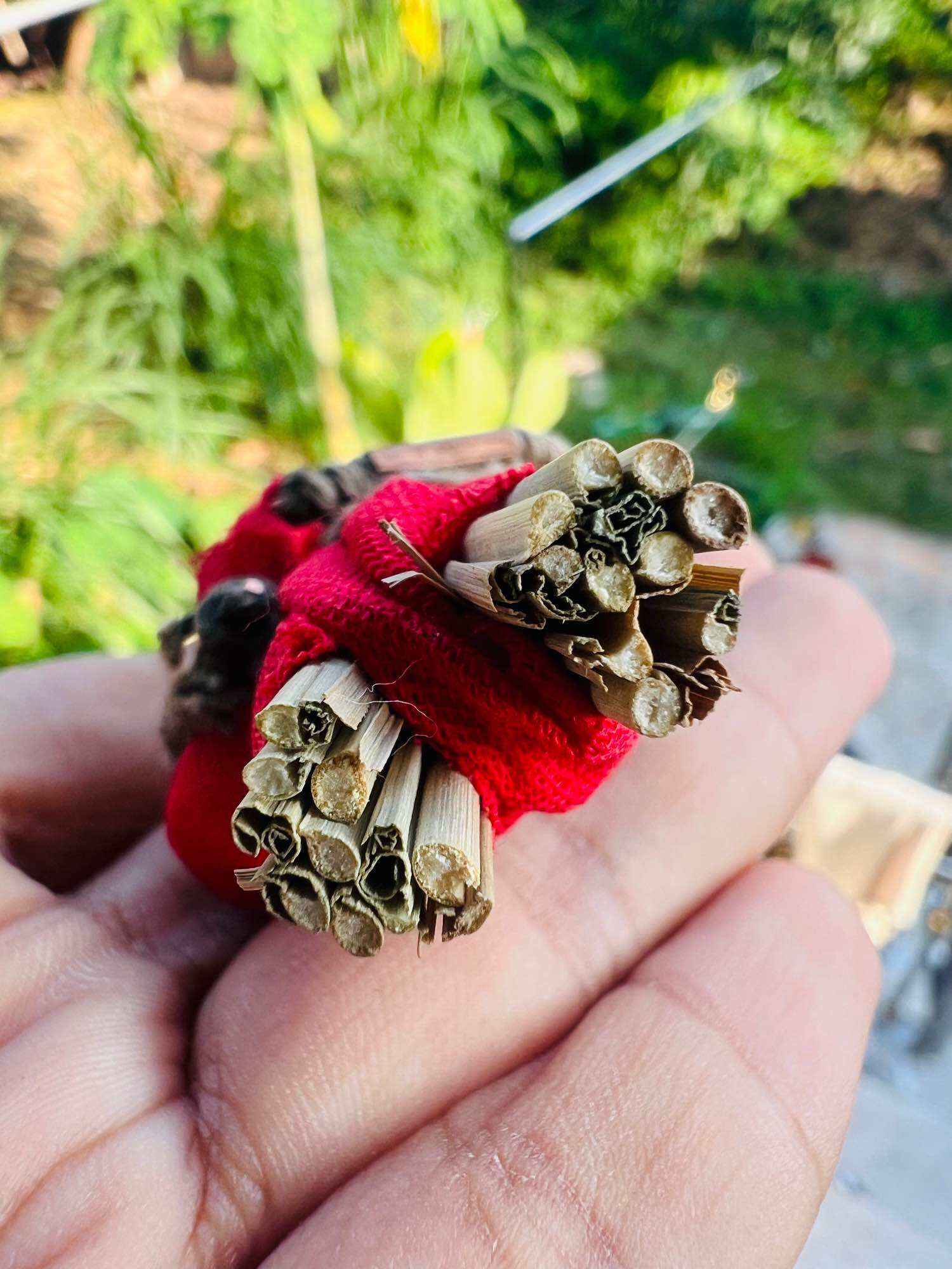Thai Blessing Co Hoon payon sacred puppet for protection small red cloth amulet with dried straw stems in palm