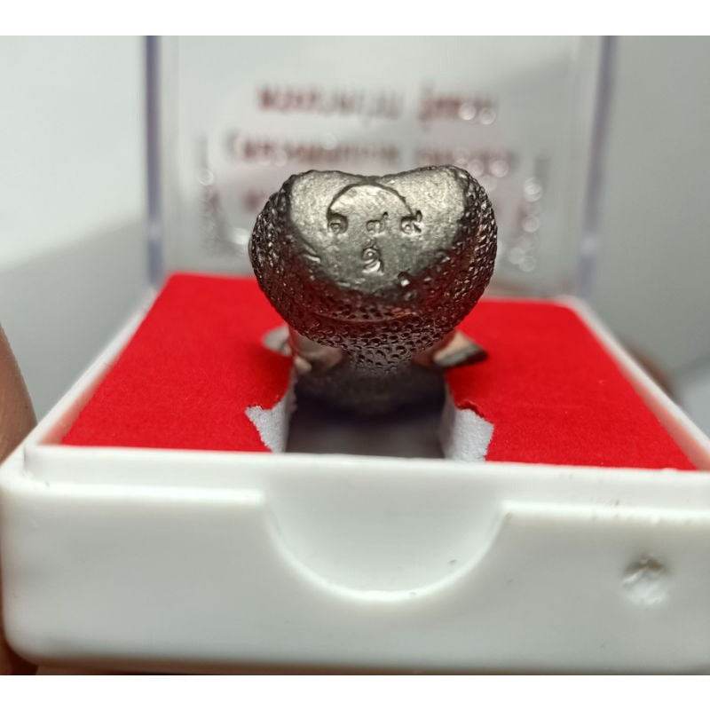 Luang Phu Kasem Hemacharo Amulet - Thai Blessing Charm for Protection and Prosperity