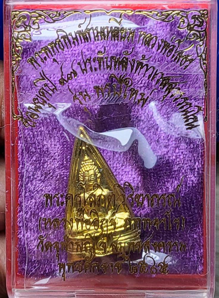 Luang Por Sothorn Coin for Wealth and Protection