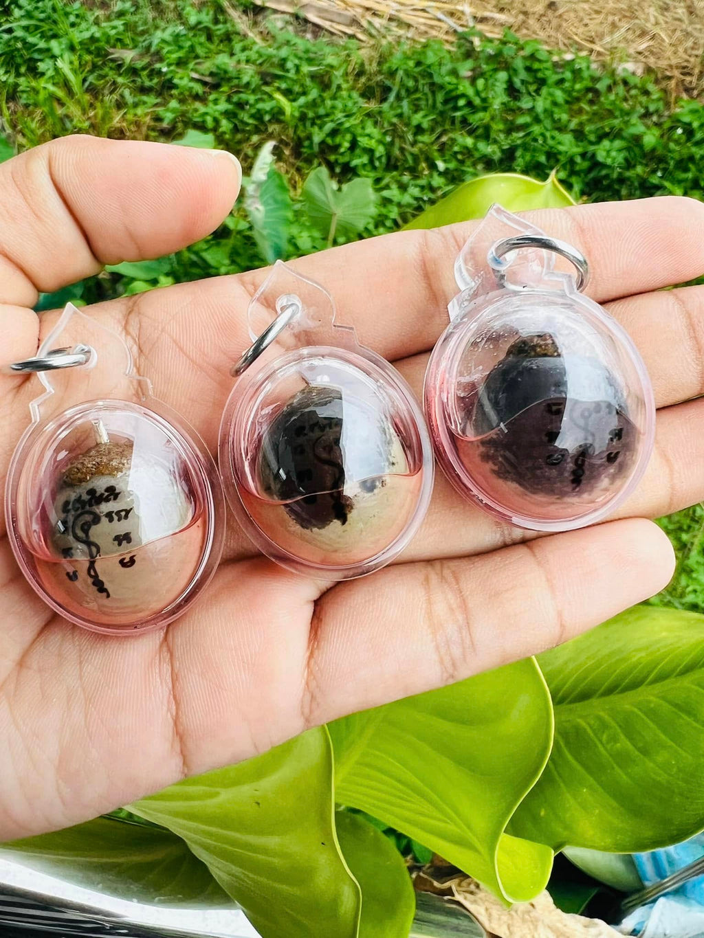 Hand holding three Luuk Sawat sacred charm amulets in clear plastic cases over green foliage background