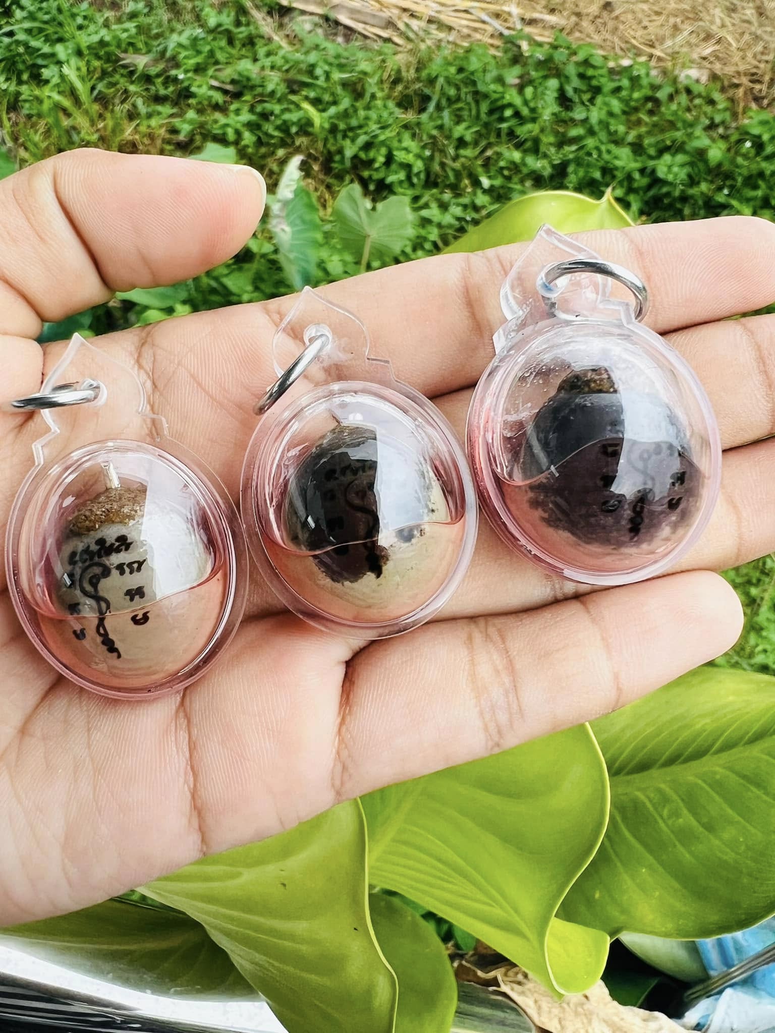 Hand holding three Luuk Sawat sacred charm amulets in clear plastic cases over green foliage background