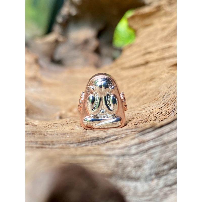 Phra Pidta Namo amulet two-tone polished silver and rose gold protective Thai blessing talisman