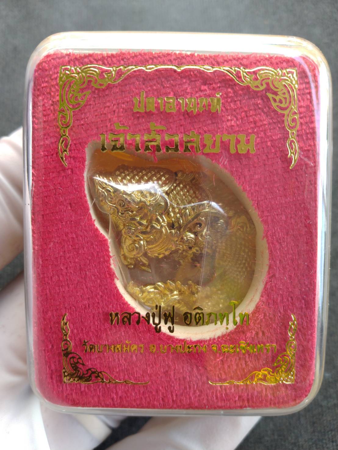 Thai Blessing Co gold Pla Anon Chao Sua Siam amulet for wealth in red velvet display box