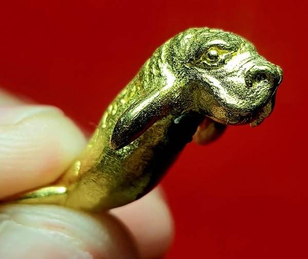 Gold Pla Du Yong (Manatee) Amulet with detailed manatee head ring held between fingers on red background