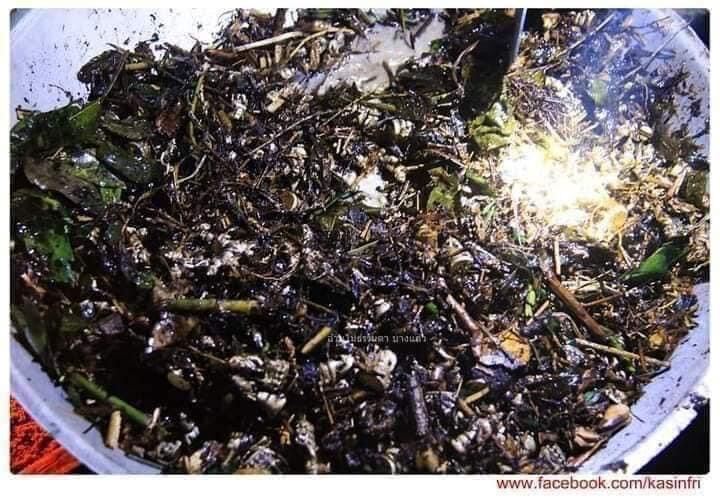 Thai Blessing Co bowl of ritual dried herbs twigs and charred offerings used as Thai ghost-repelling amulet for protection