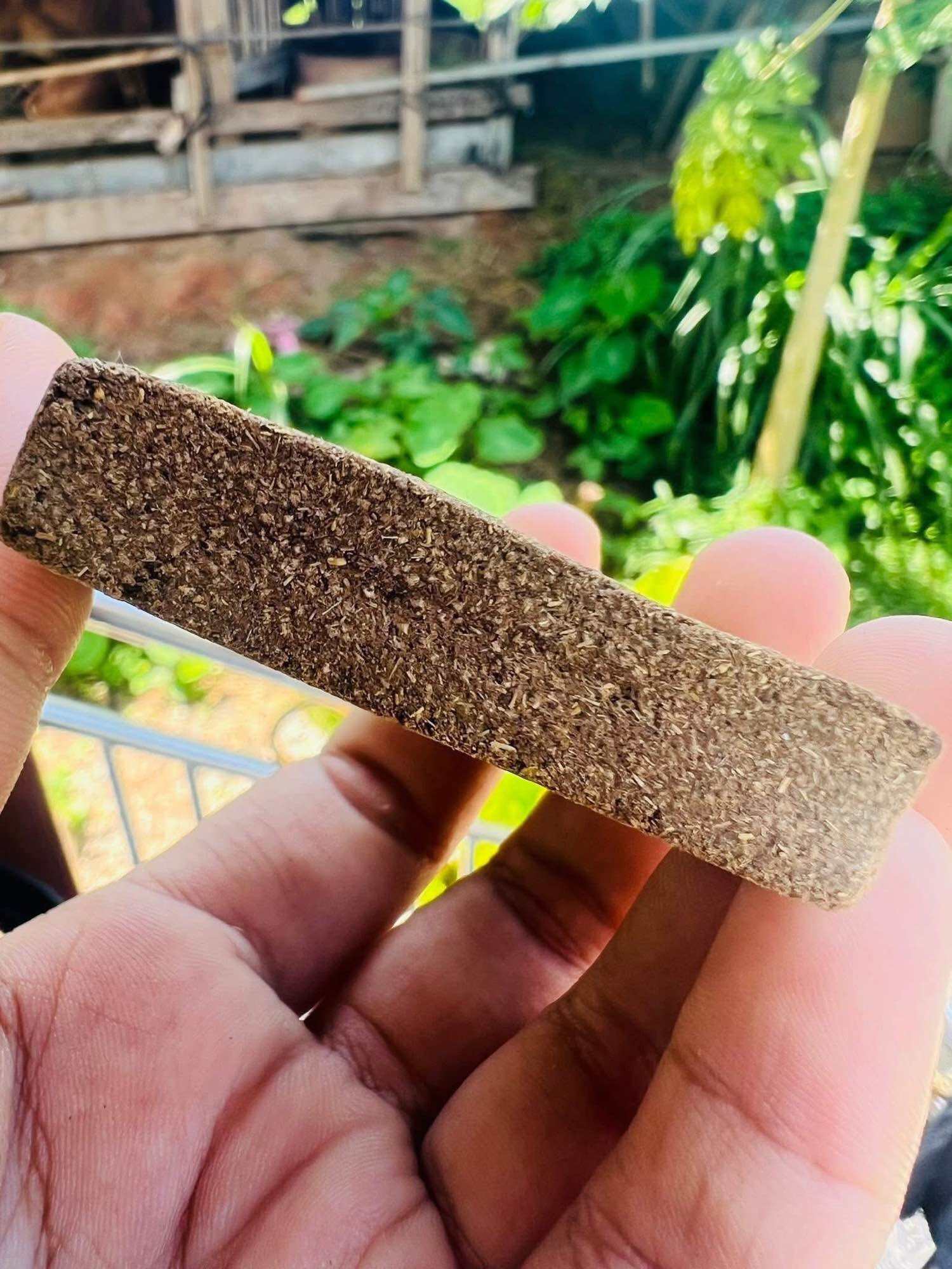 🌿 Ultimate Protective Waan Staff – Ward Off Sorcery, Black Magic &amp; All Negativity | Powerful Spiritual Shield from Thai Mysticism