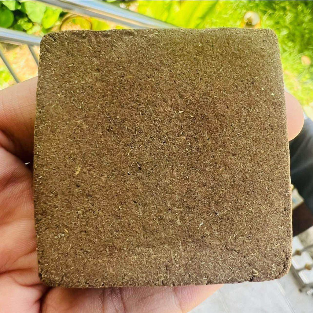 🌿 Ultimate Protective Waan Staff – Ward Off Sorcery, Black Magic &amp; All Negativity | Powerful Spiritual Shield from Thai Mysticism