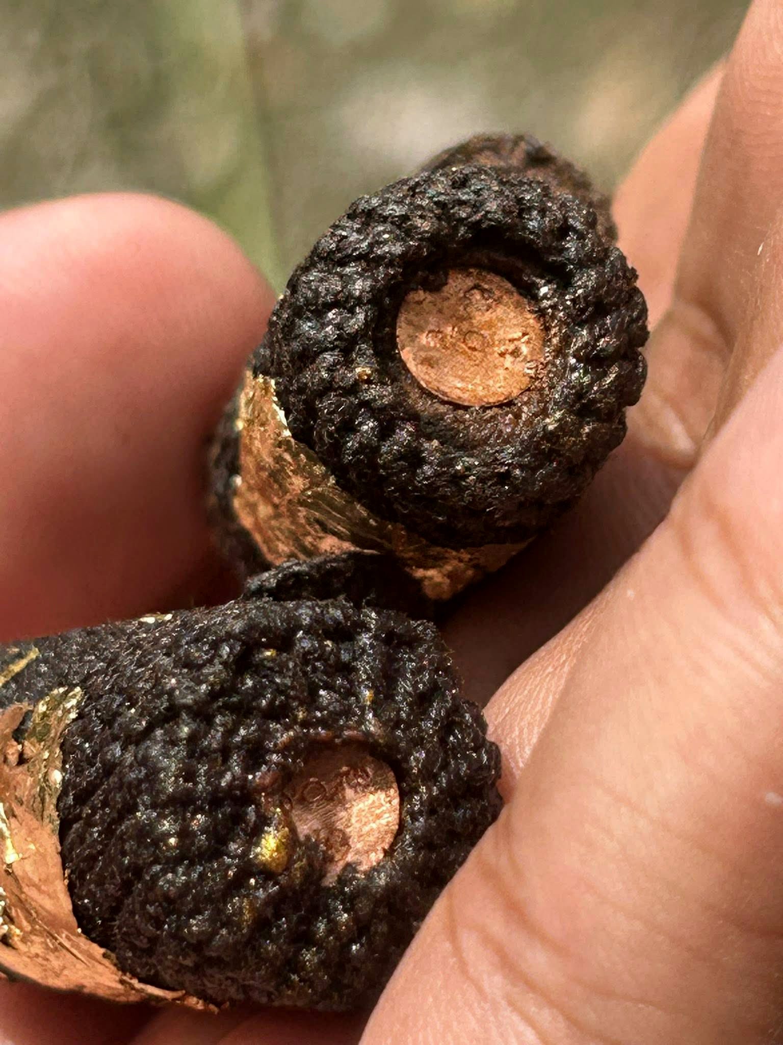 Close up of two black braided Takrut Phai Tan amulet for protection with gold leaf and copper core held in hand
