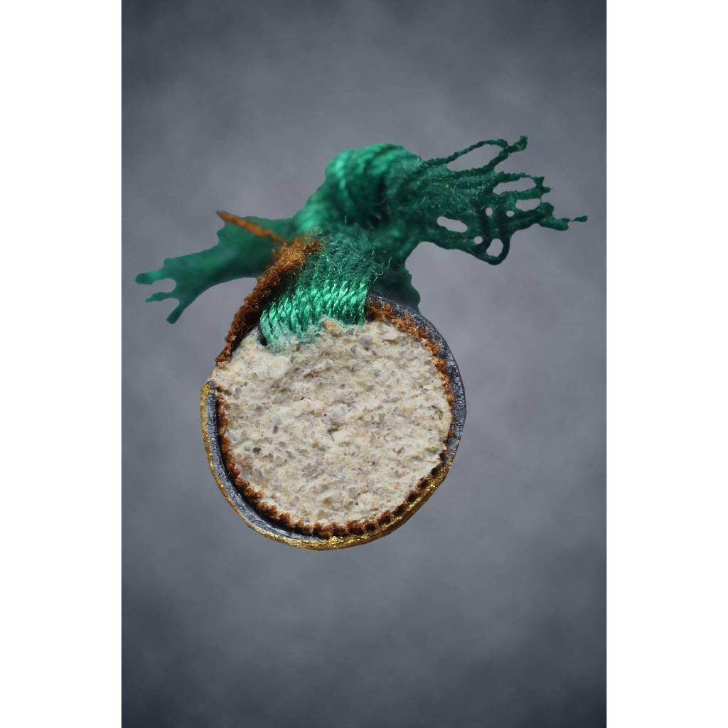 Thai boar talisman for luck with green braided cord and round sacred medallion pendant