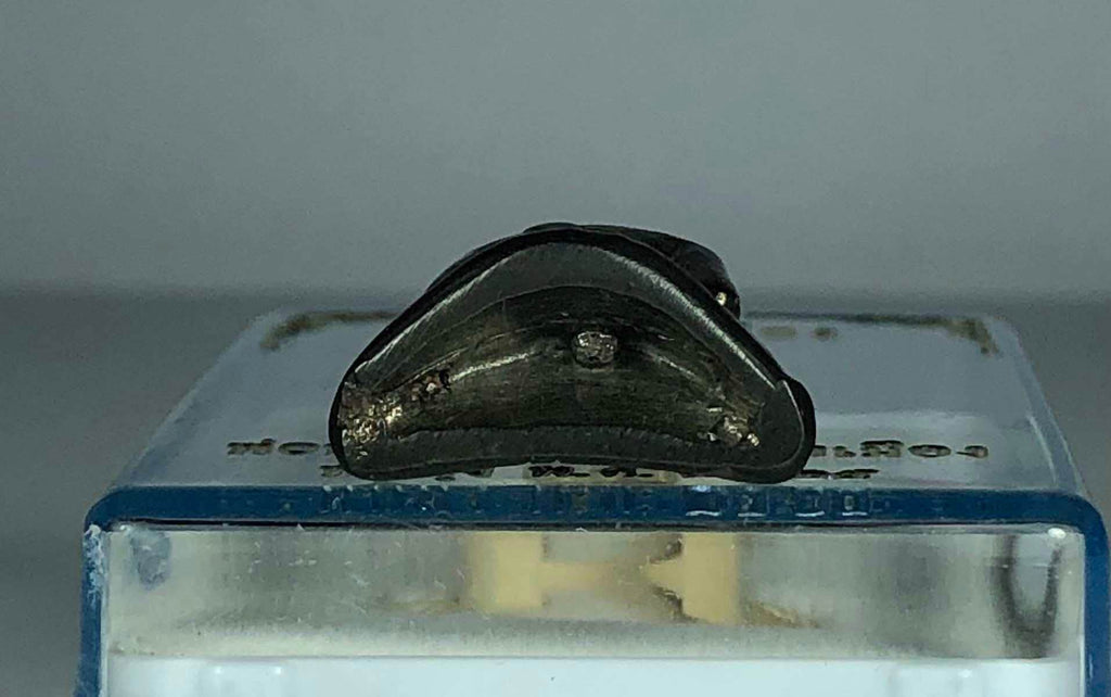 Thai Buddhist Amulet Statue Phra Kao Muaeng for Spiritual Protection and Safeguarding