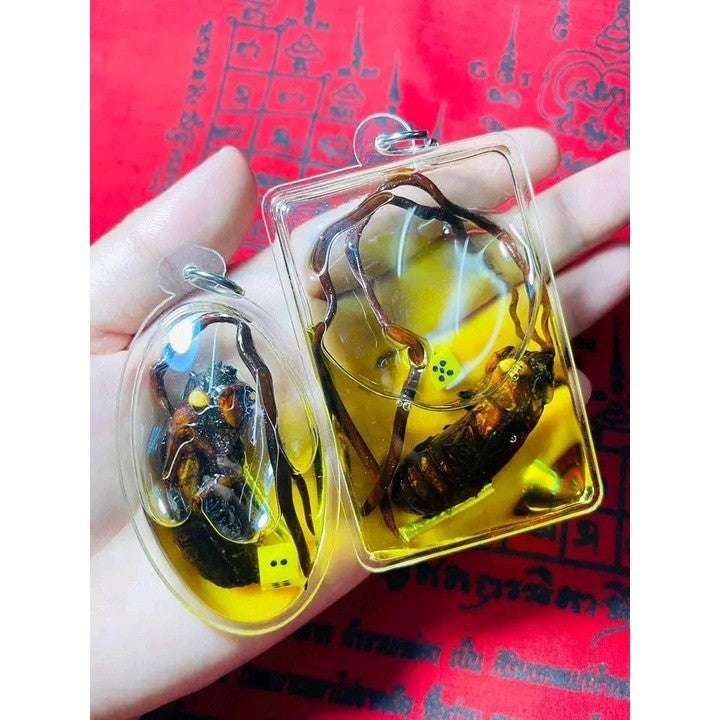 Sacred Cicada Root Charm Amulet for Gambling Success and Business Fortune