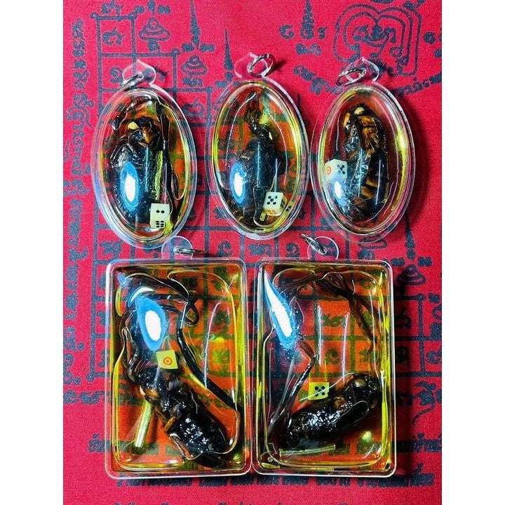 Sacred Cicada Root Charm Amulet for Gambling Success and Business Fortune